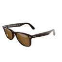 Polarized Brown Classic Tortoise